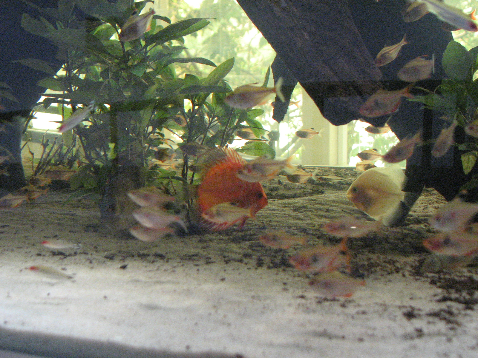 /admin/noticias/8649/Imagem 137.jpg /admin/noticias/8649/Imagem 137.jpg